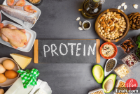 Protein Intake Targets for Fat Loss: How Much to Eat Daily