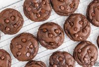 Double Chocolate Chip Cookies Recipe — Rich, Gooey Treats