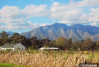 Stellenbosch Wine Tasting: SA Sunday Vineyard Experiences