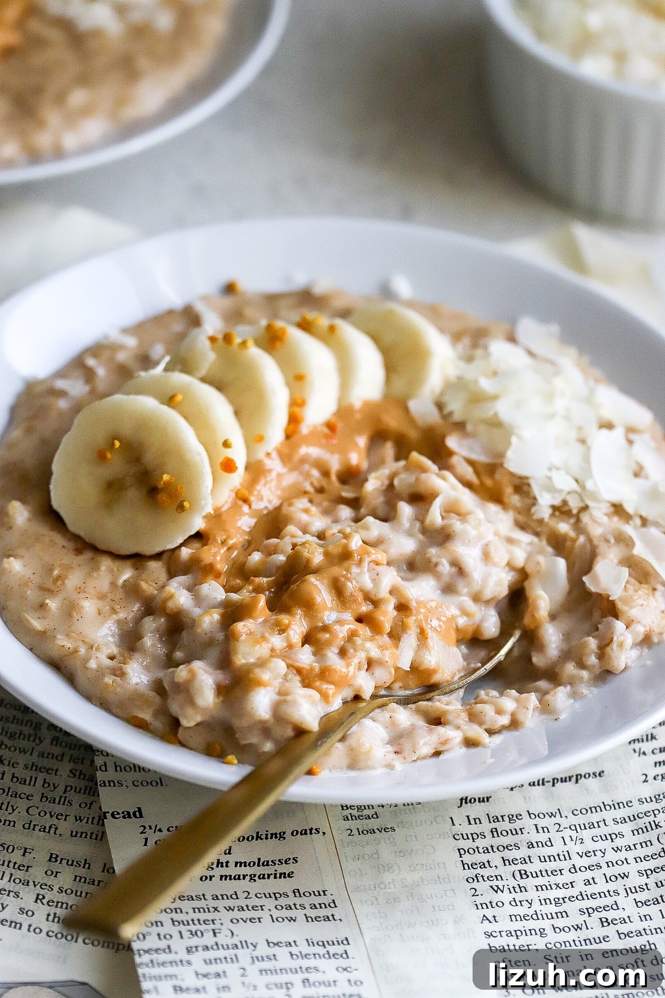 side angle of creamy oatmeal recipe with gold spoon and delicious toppings
