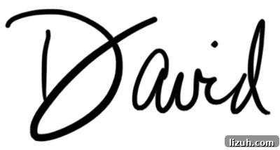 David Leite's handwritten signature of 