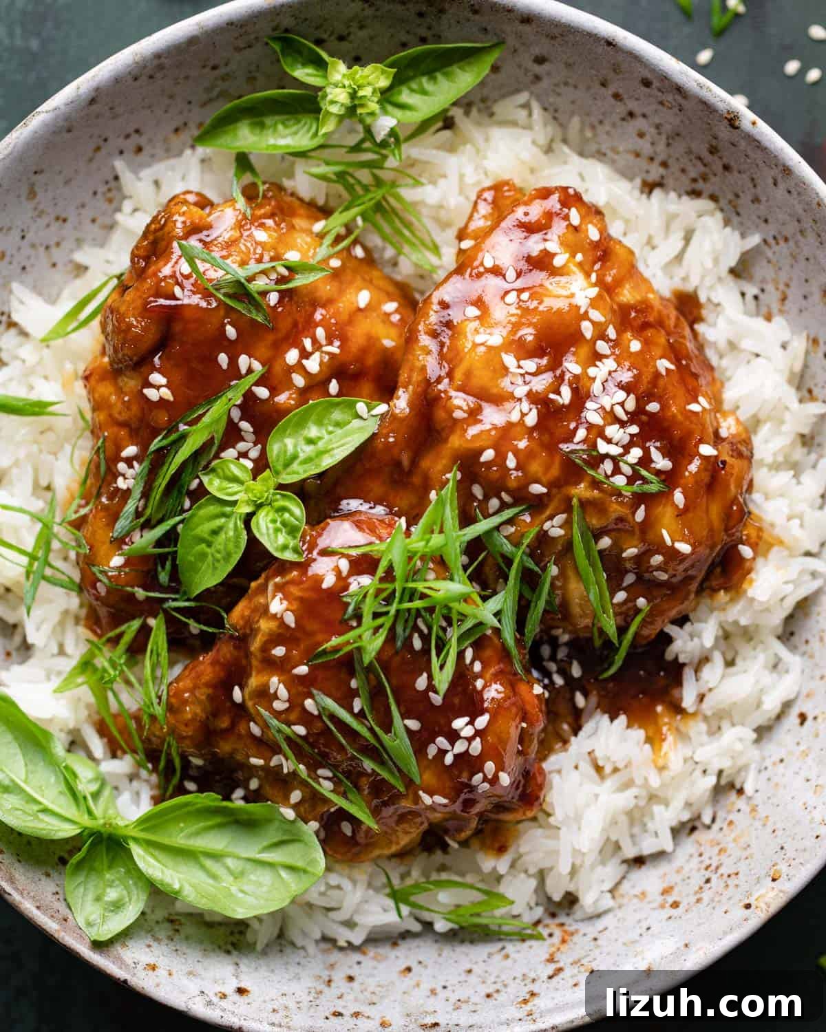 Air fryer teriyaki chicken thighs over rice.