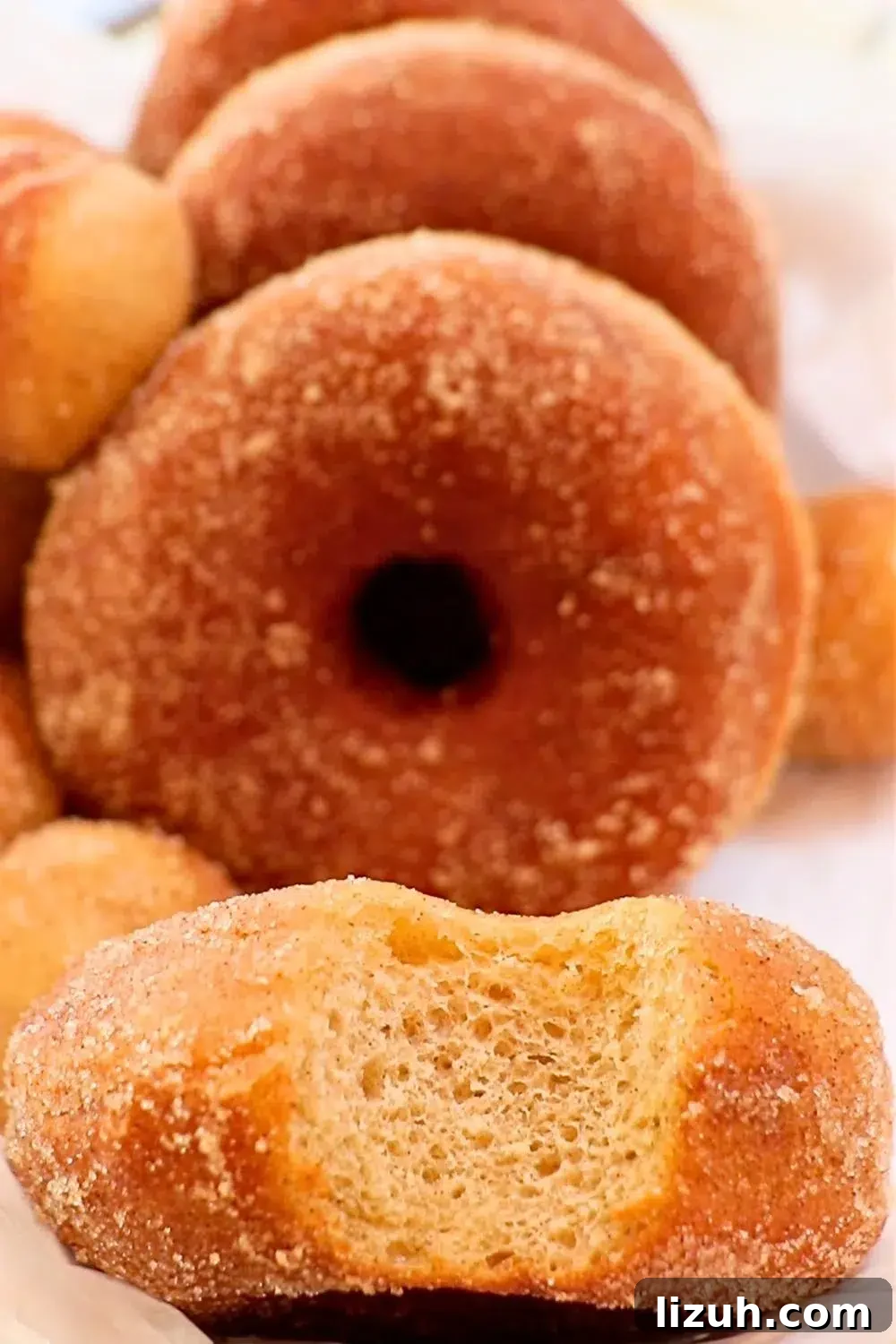 Cinnamon Donuts Recipe: Soft, Glazed, and Irresistible 2 fluffy homemade cinnamon donuts