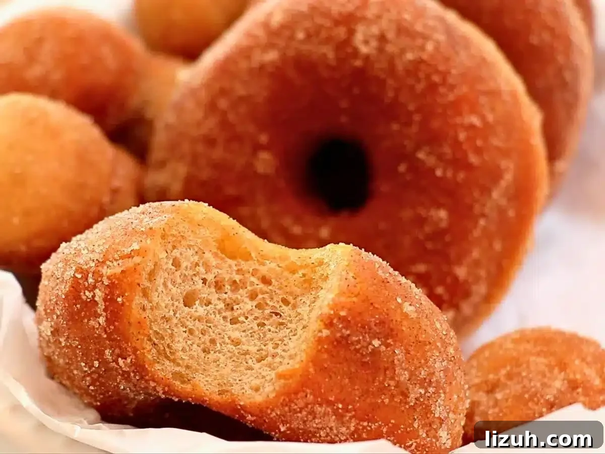 Cinnamon Donuts Recipe: Soft, Glazed, and Irresistible 3 up-close of soft cinnamon donuts