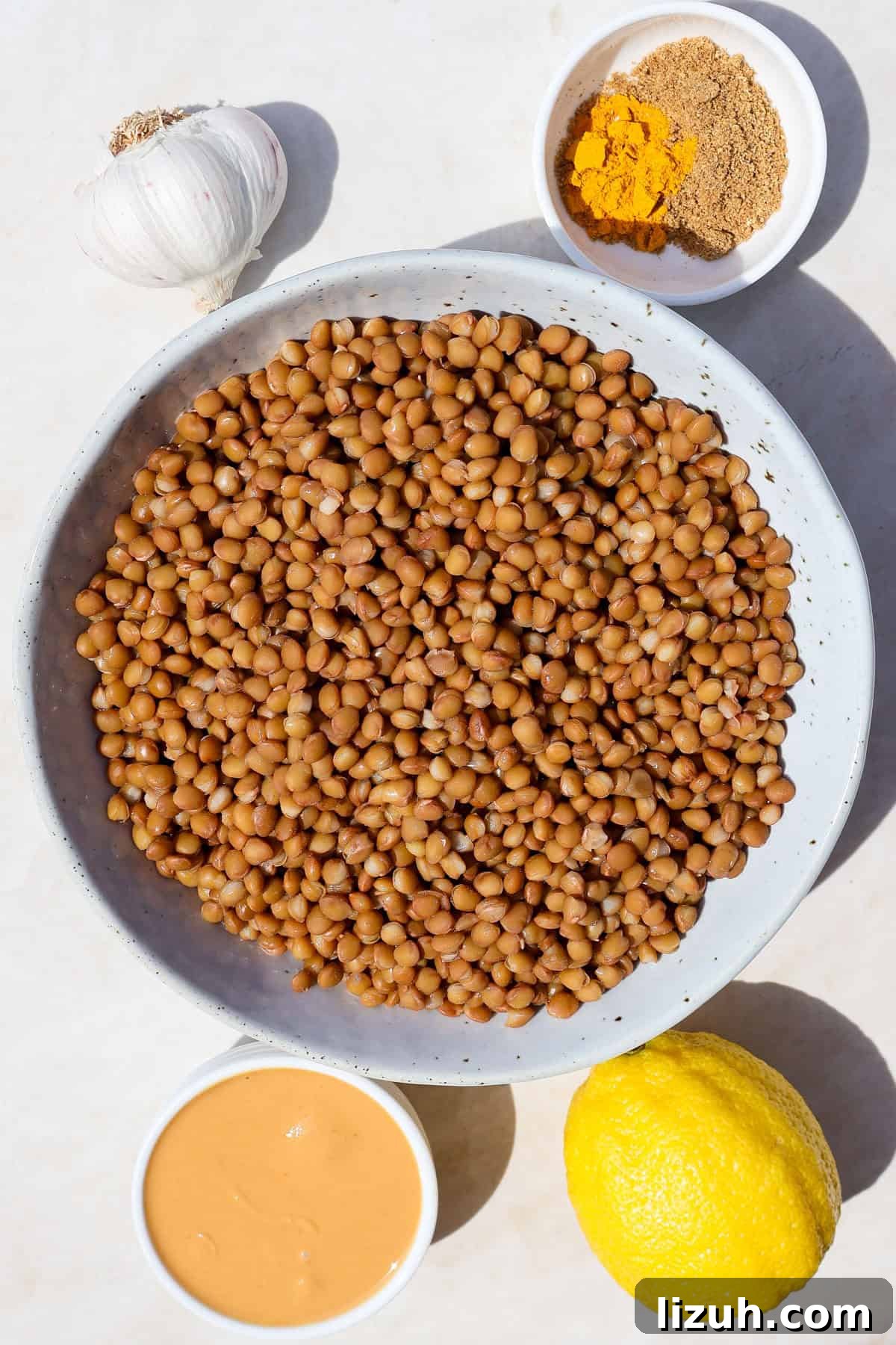 Ingredients shown to make the hummus.