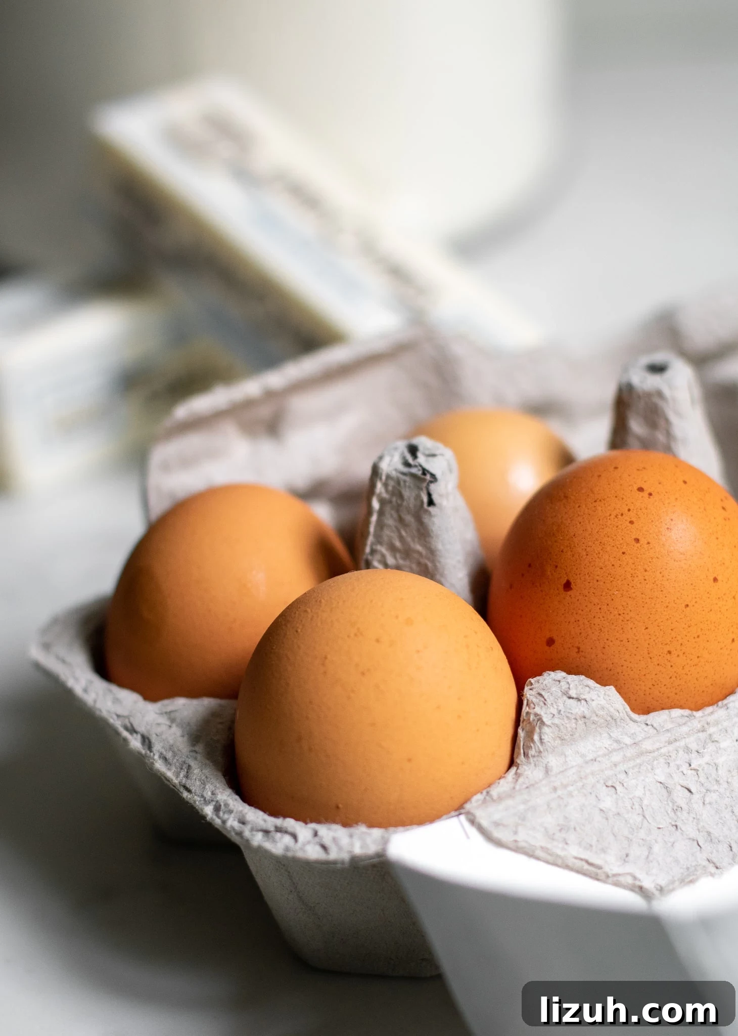 Answers to Your Top FAQs: Quick Solutions to Common Questions 5 Eggs in a carton.