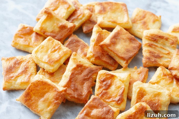 Crunchy Homemade Cheese Crackers Recipe for Snack Lovers 2 Cheese Cracker