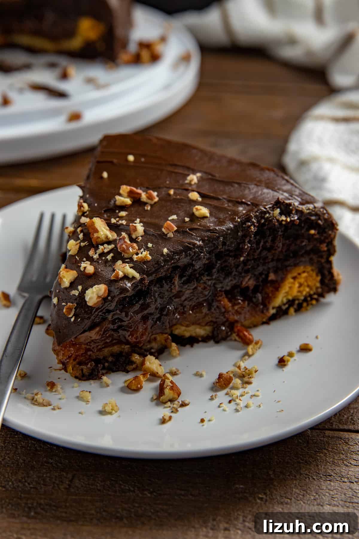 Slice of cake on white plate with chopped pecans scattered around.