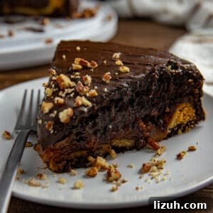 Slice of cake on white plate with chopped pecans scattered around.