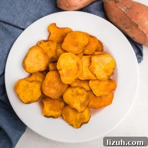 overhead photo of air fryer sweet potato chips in a white bowl.