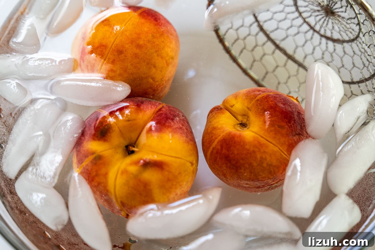 Fresh peaches submerged in ice water to remove the peel.