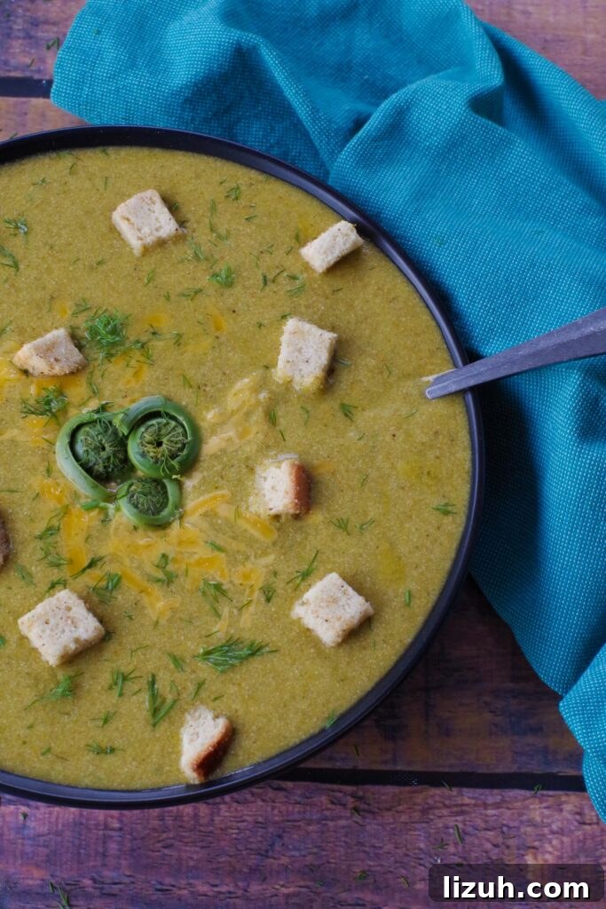 Creamy Fiddlehead and Cheese Soup Recipe 15 ½ bowl (showing) of fiddlehead soup in a black bowl with a spoon and turquoise linen to the right of the bowl ad croutons and fresh dill in and around the soup