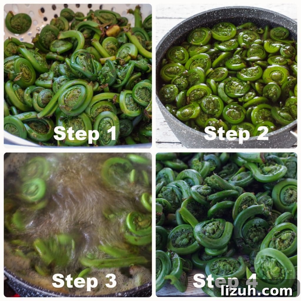 Creamy Fiddlehead and Cheese Soup Recipe 4 collage of 4 photos of fiddleheads being cooked