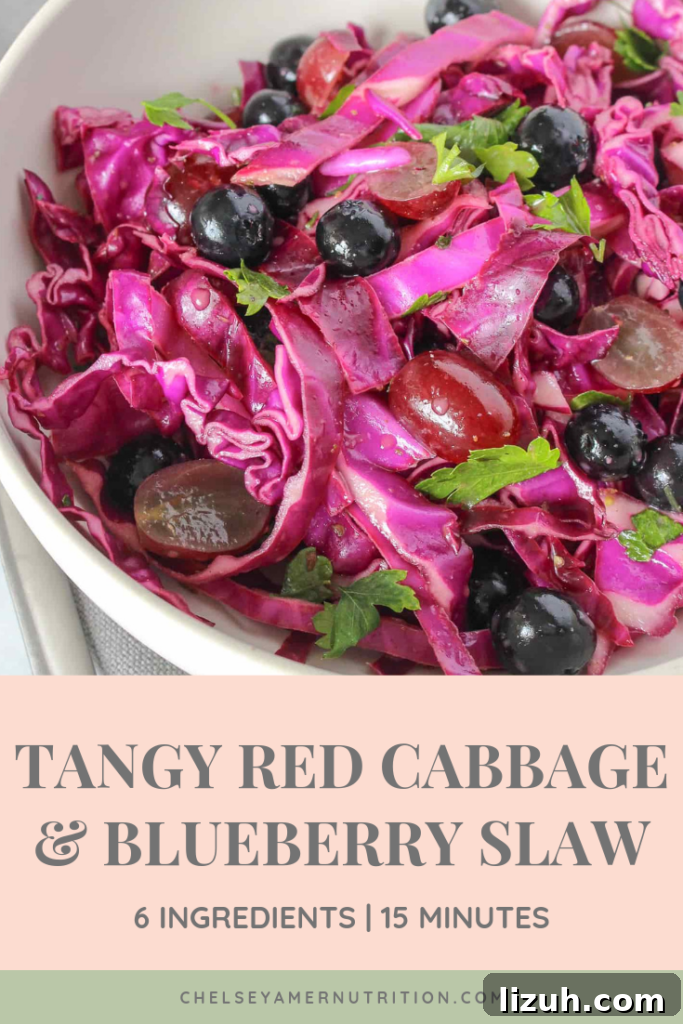 Red Cabbage and Blueberry Slaw