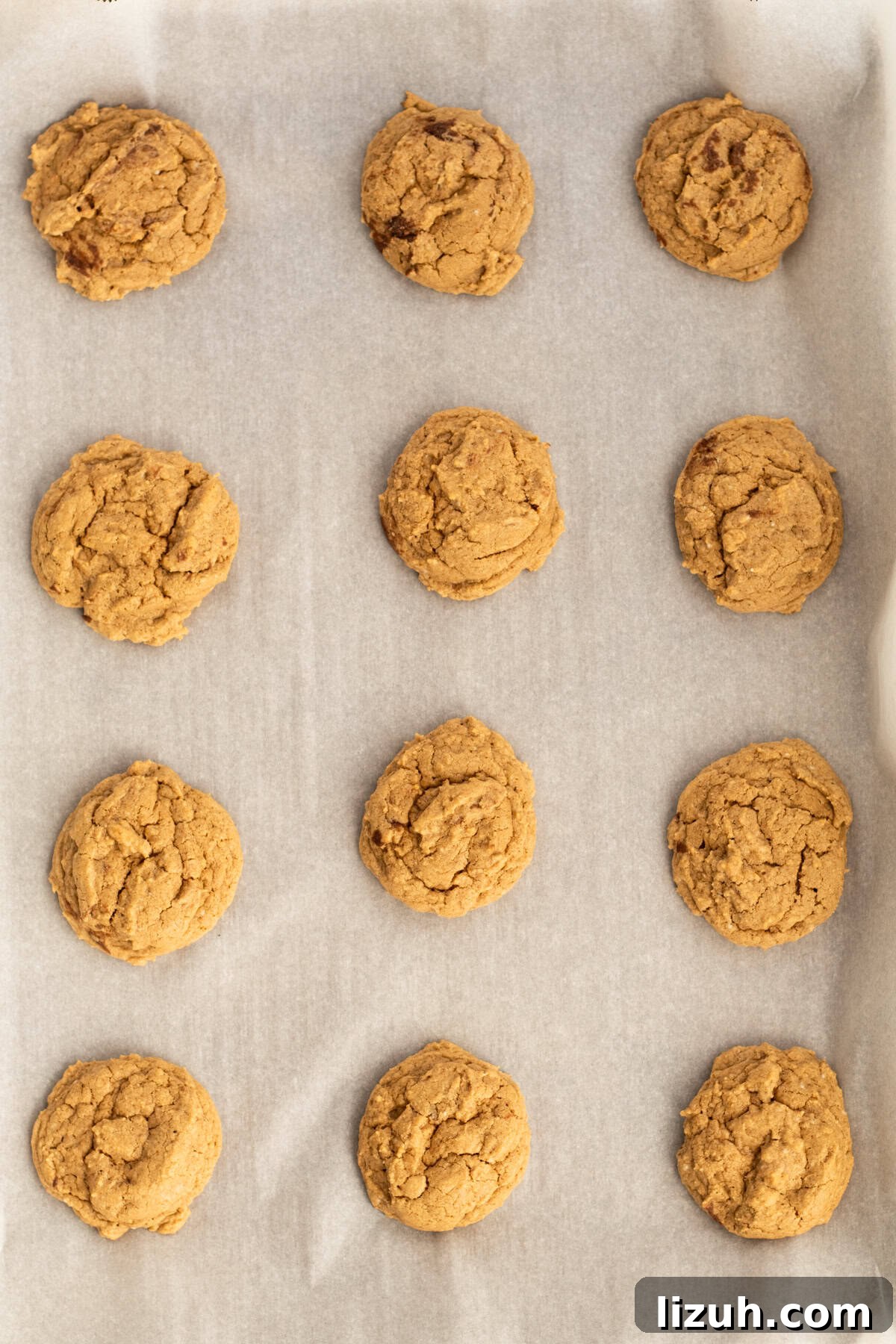 3-Ingredient Spice Cake Mix Cookies Recipe for Quick Treats 9 spice cake mix cookies cooling on a the tray