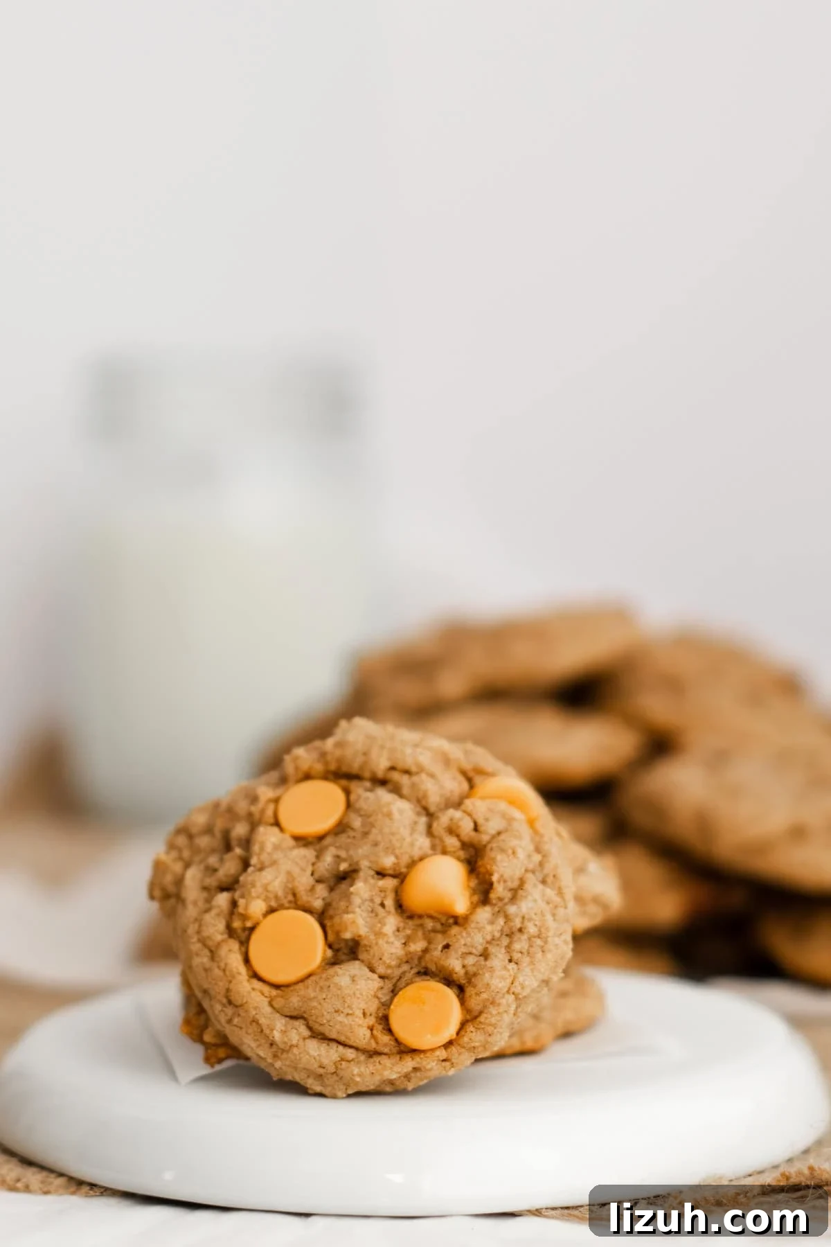 3-Ingredient Spice Cake Mix Cookies Recipe for Quick Treats 10 butterscotchchip spice cookies on a white plate