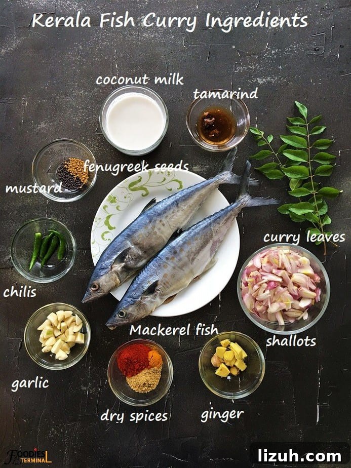 Kerala Coconut Fish Curry Recipe — Authentic Malabar Flavors 3 Nadan Meen Curry Ingredients