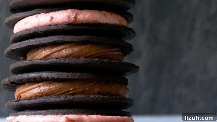 Easy homemade oreos with just 5 ingredients!