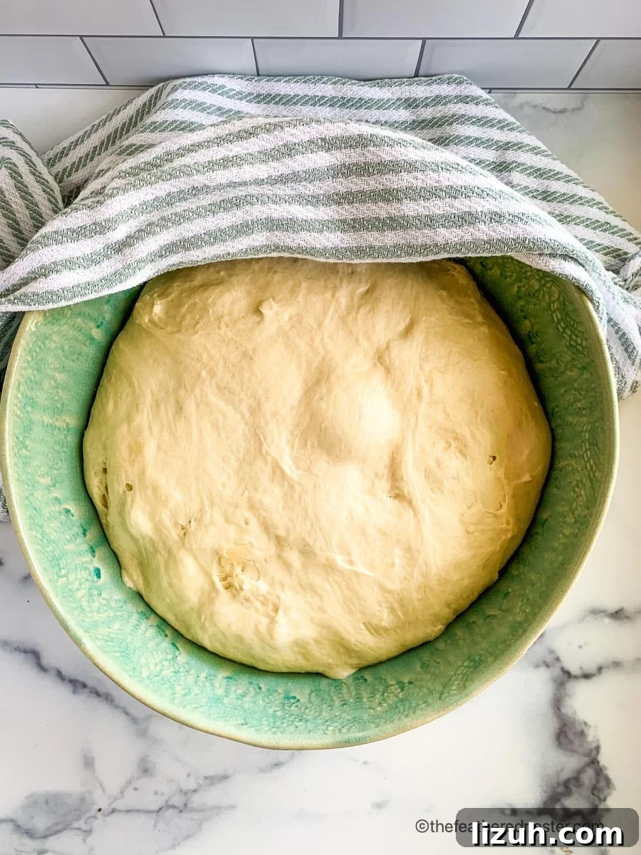Crisp-Crust Sourdough French Bread Recipe for Rustic Loaves 4 A bowl of risen bread dough.