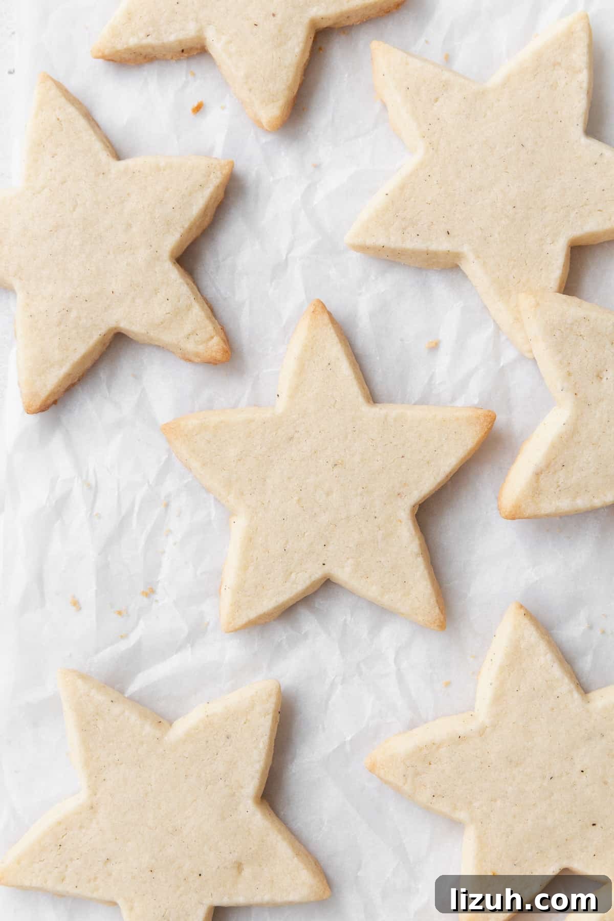Gluten-Free Sugar Cookie Recipe for Crisp, Chewy Cookies 13 A close up of gluten free cut out cookies laid out on parchment paper.