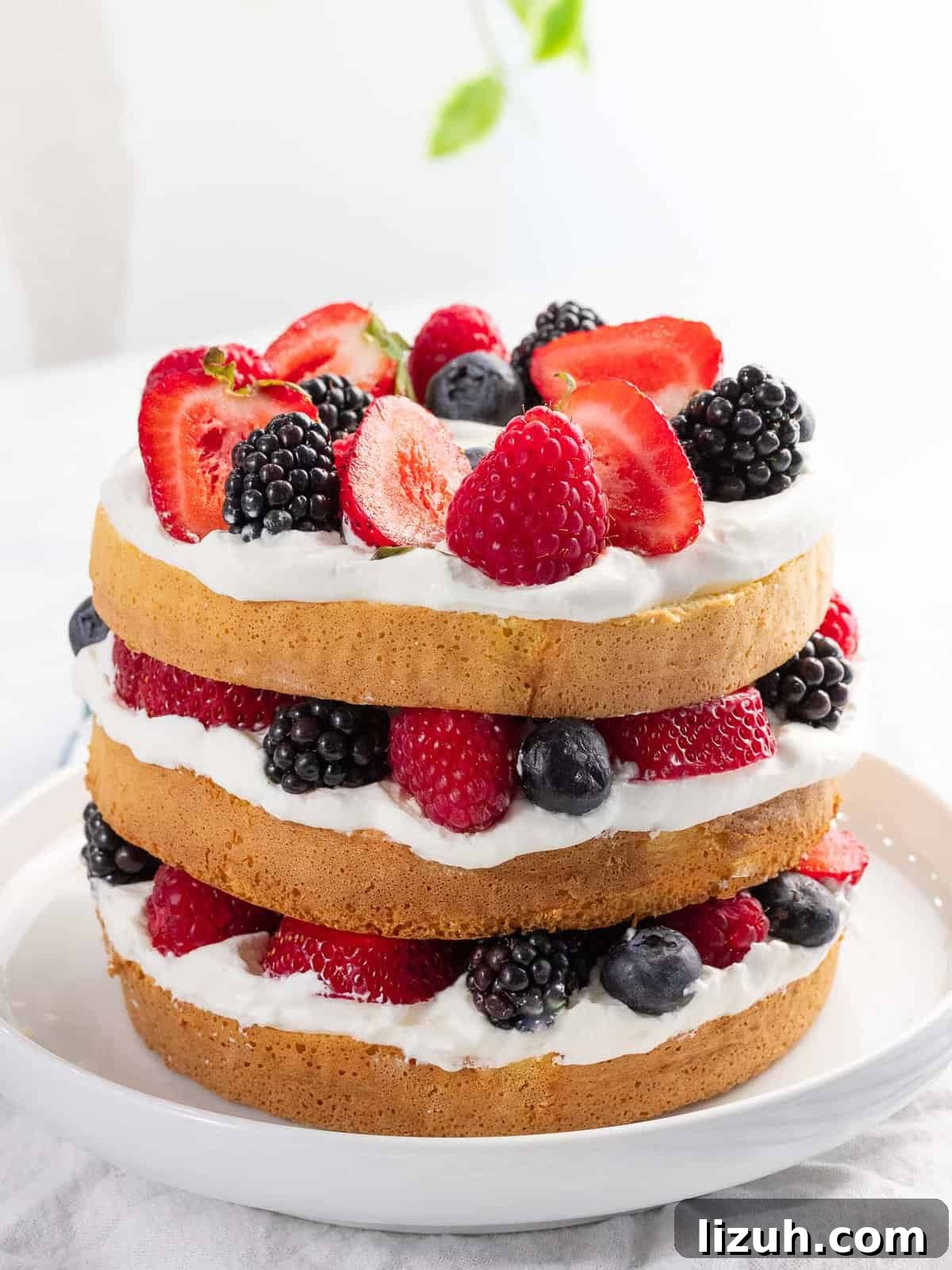 Decadent Mixed Berry Cake Recipe with Fresh Fruit Layers 3 Berry cake made with fresh mixed berries, whipped cream, and layered cake.
