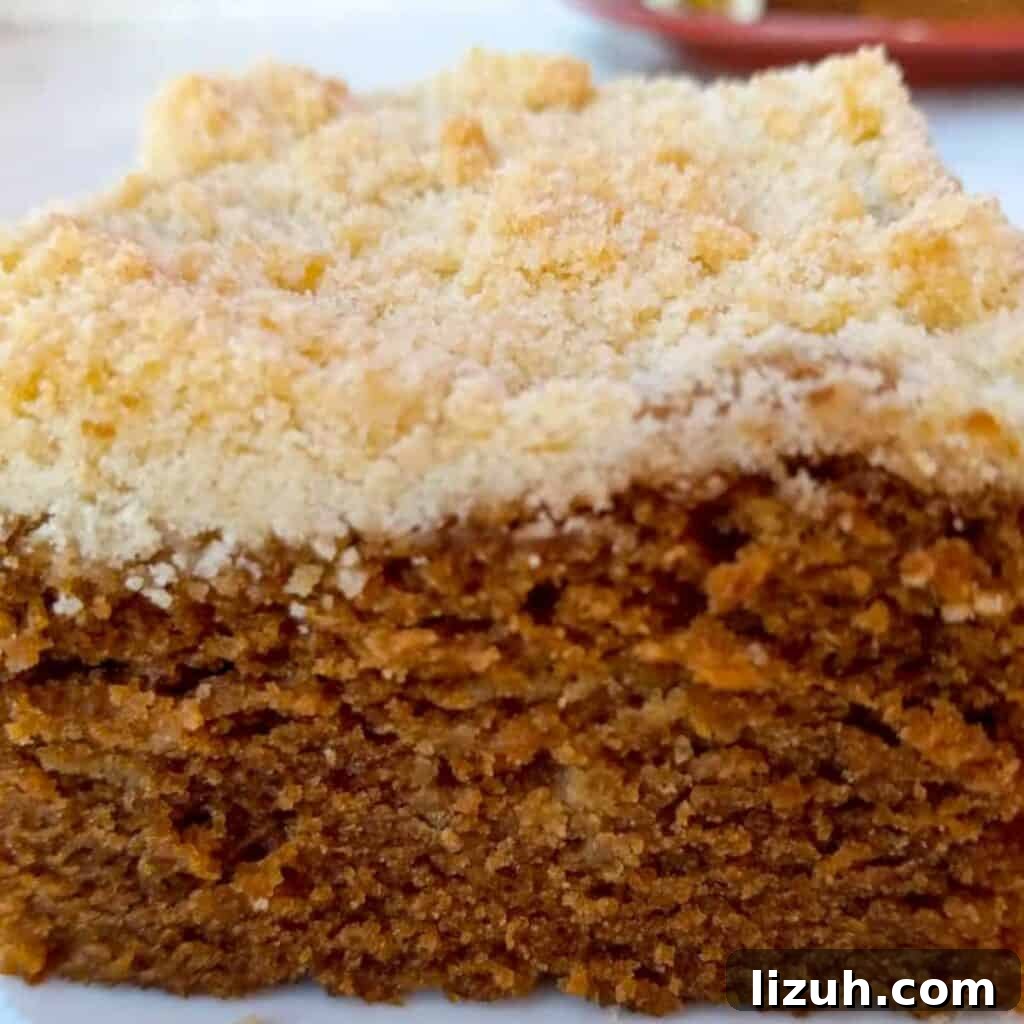 41 Perfect Side Dishes to Serve with Biscuits and Gravy 39 a close-up photo of a slice of shoofly cake with crumbs on top.