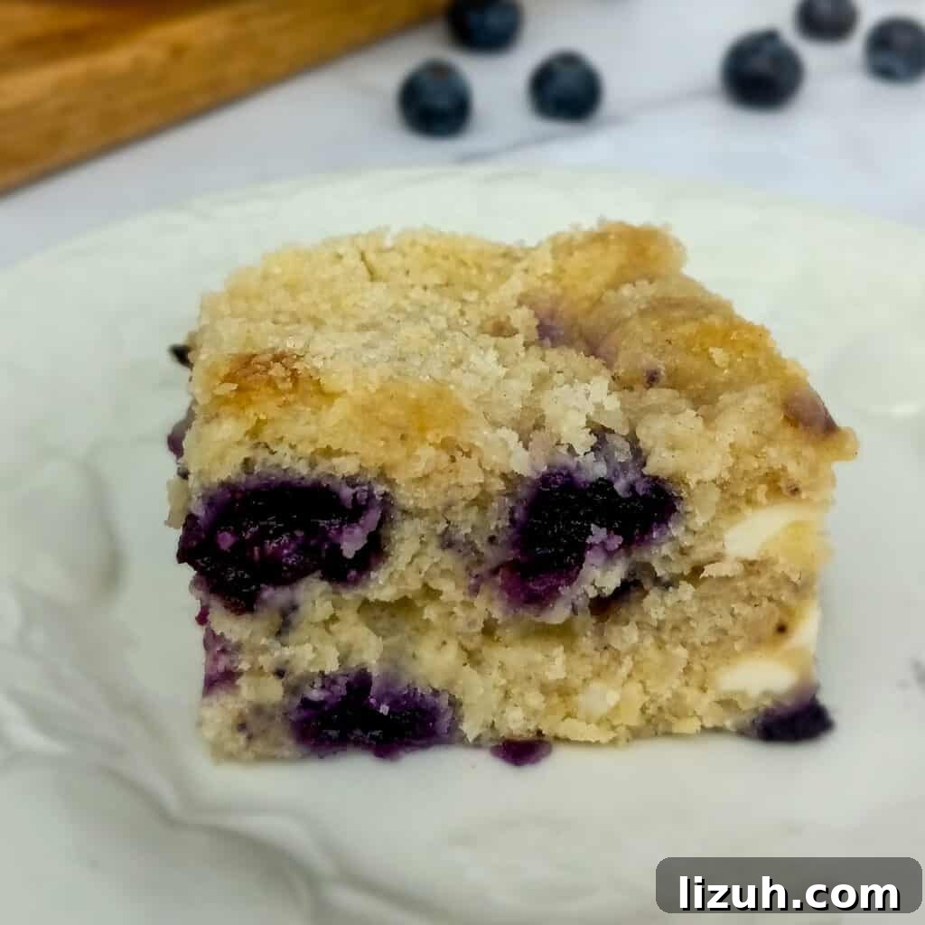 41 Perfect Side Dishes to Serve with Biscuits and Gravy 40 slice of Amish blueberry cream cheese coffeecake on a platter and blueberries scattered around