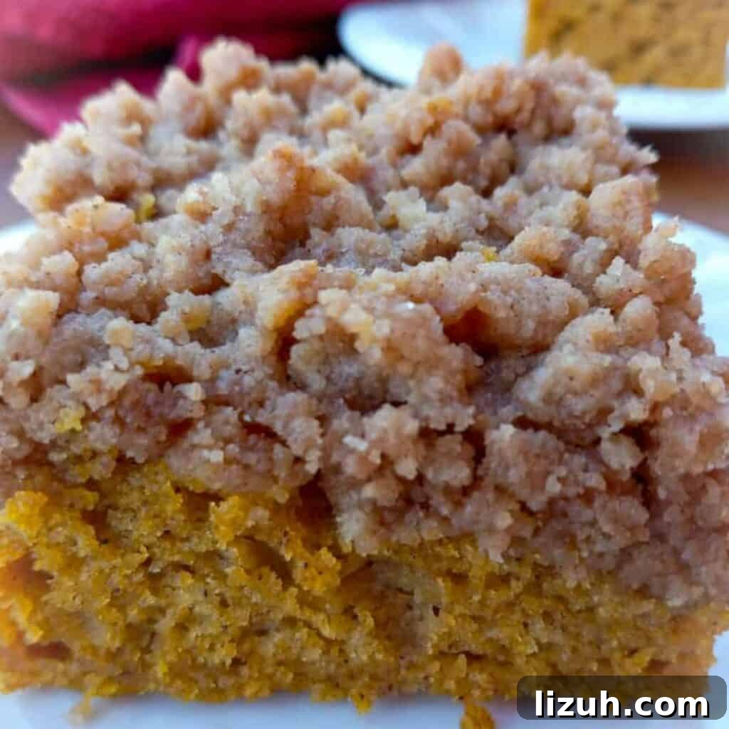 41 Perfect Side Dishes to Serve with Biscuits and Gravy 42 a slice of pumpkin streusel coffeecake.