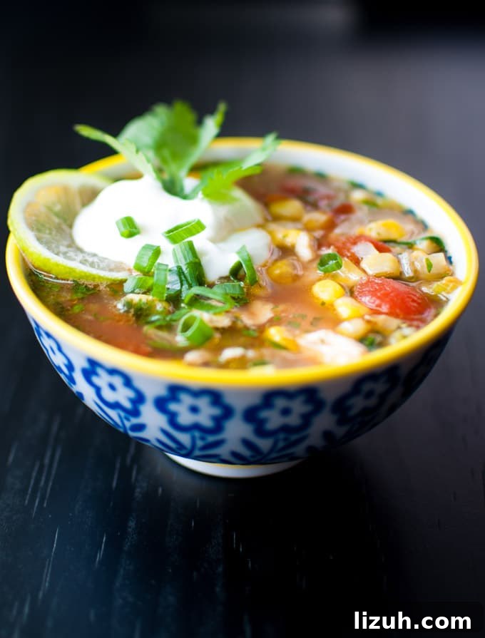 close-up of Mexican chicken and lime soup in a bowl