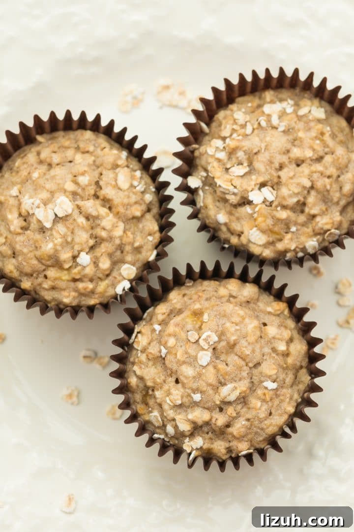 Vegan Banana Oat Muffins: Moist, Dairy-Free Breakfast Recipe 2 Vegan Banana Oat Muffins