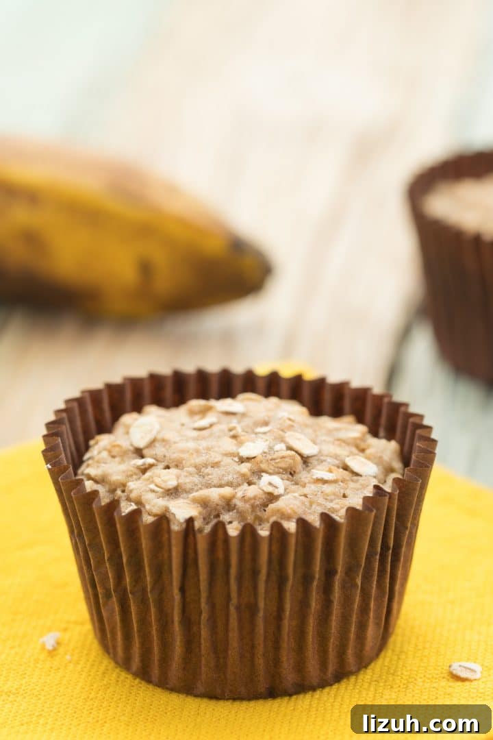 Vegan Banana Oat Muffins: Moist, Dairy-Free Breakfast Recipe 3 healthy banana muffins for babies and toddlers