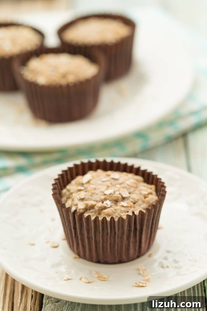 Vegan Banana Oat Muffins: Moist, Dairy-Free Breakfast Recipe 4 egg-free banana oatmeal muffins