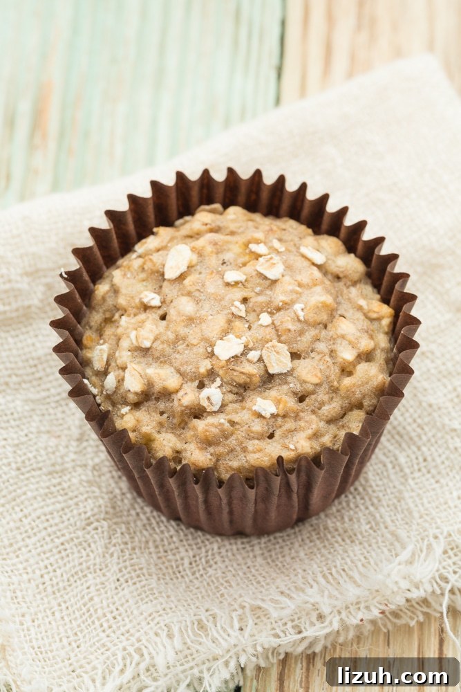 Vegan Banana Oat Muffins: Moist, Dairy-Free Breakfast Recipe 5 Banana Muffins with Oatsmeal