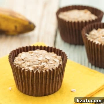 Vegan Banana Oat Muffins: Moist, Dairy-Free Breakfast Recipe 6 img 1482 5