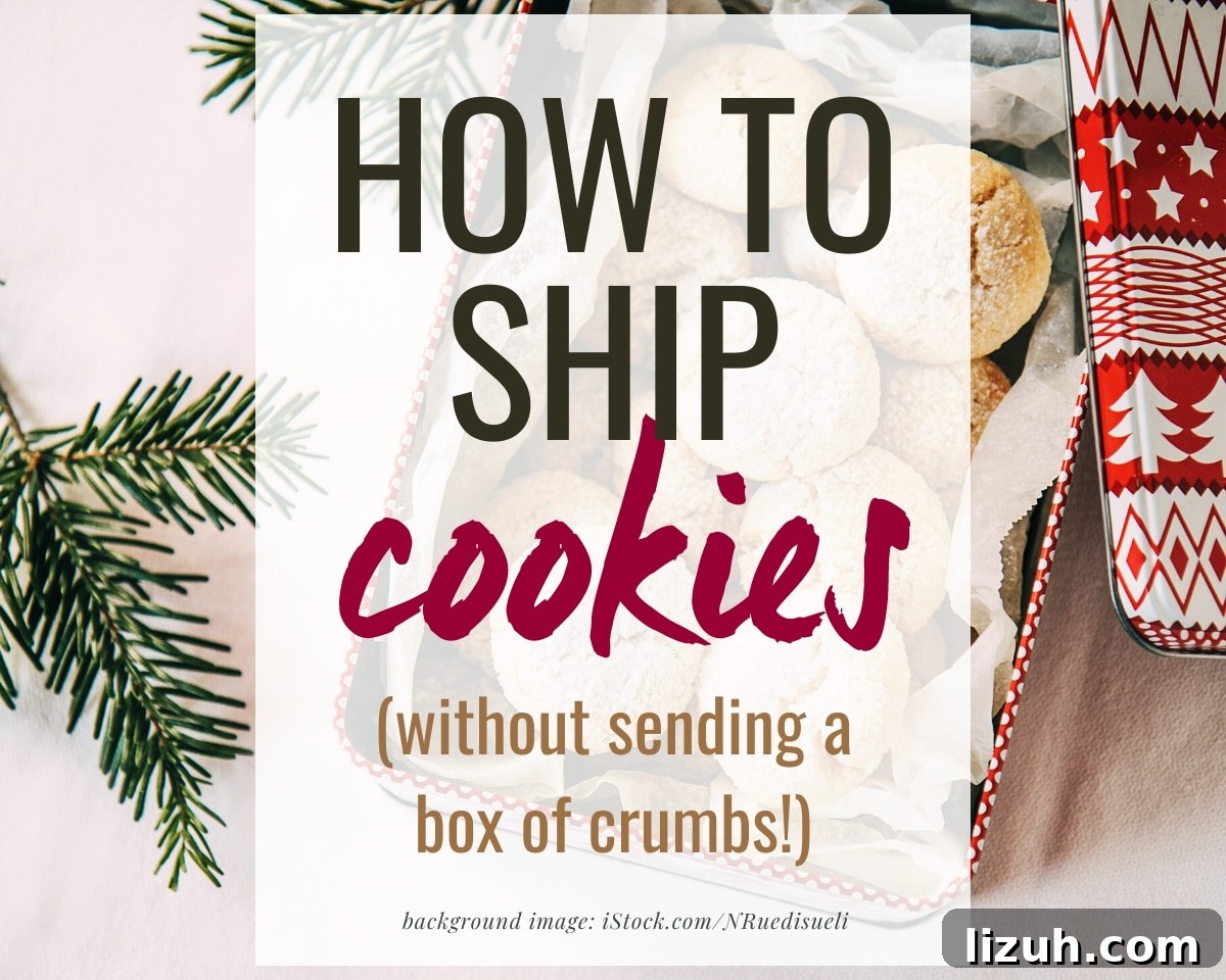 cookies in a red and white tin with evergreen sprigs and a text overlay that reads "how to ship cookies (without sending a box of crumbs!)"