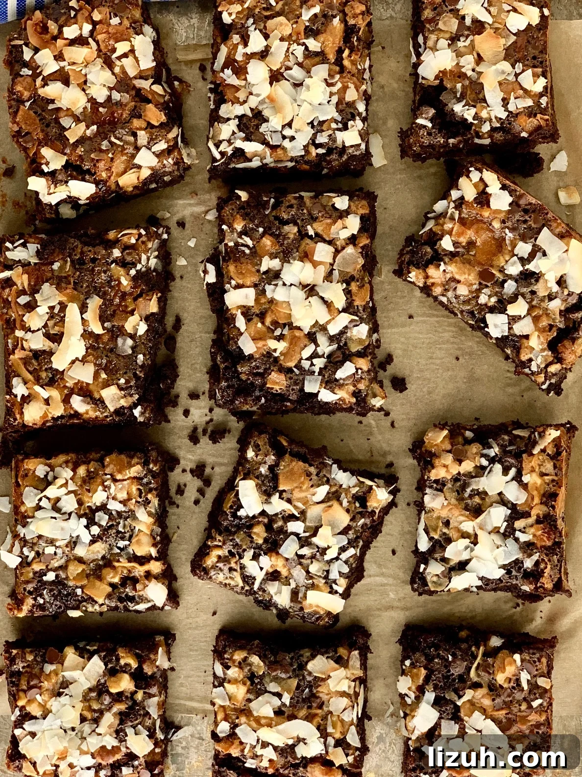 Macaroon Brownie Bars Recipe: Chewy Coconut Brownie Squares 3 img 1572 6