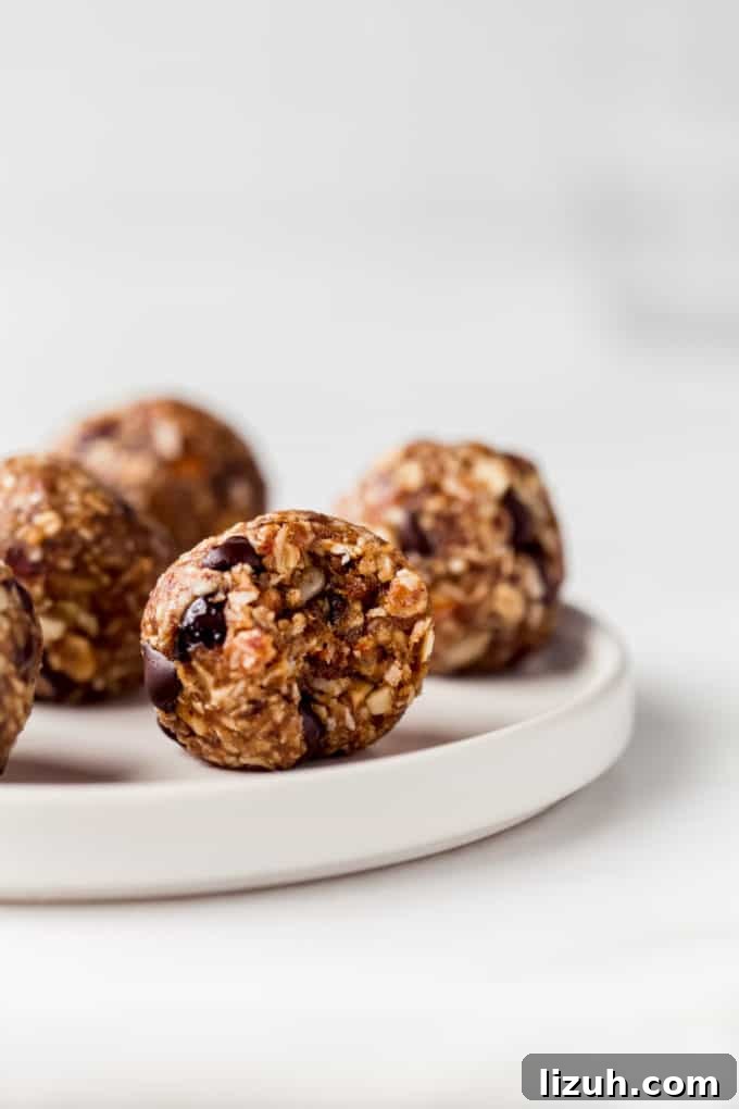 Trail Mix Energy Bites for Quick, Nutritious Snack Packs 2 an energy ball on a white plate with a bite taken out of it