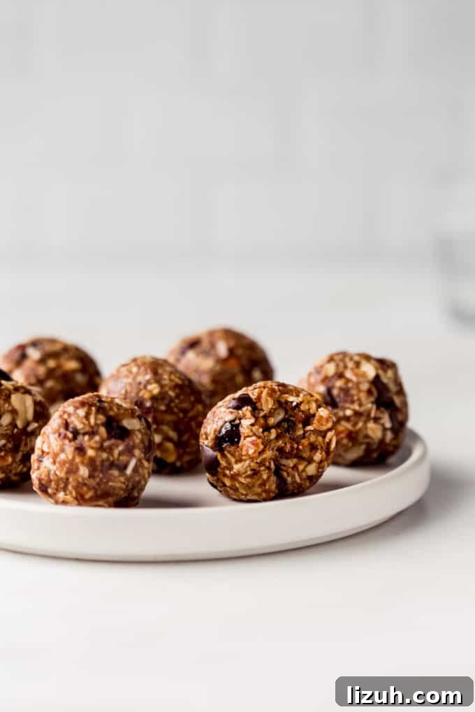 Trail Mix Energy Bites for Quick, Nutritious Snack Packs 6 energy bites on a white plate