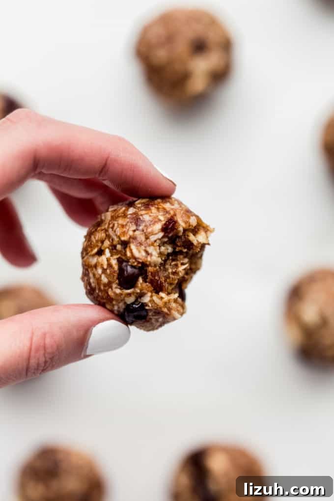 Trail Mix Energy Bites for Quick, Nutritious Snack Packs 7 a hand holding an energy ball with a bite taken out of it