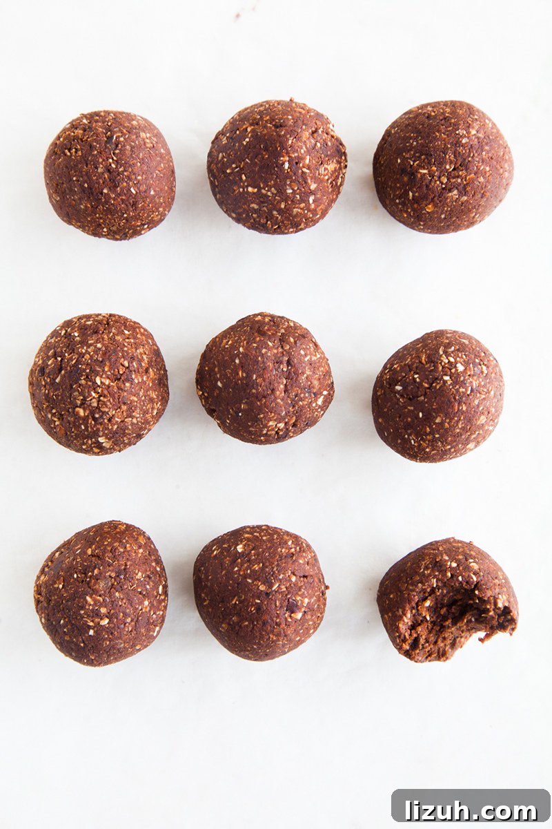 Raw Chocolate Brownie Bites (Low fat & nut-free!)