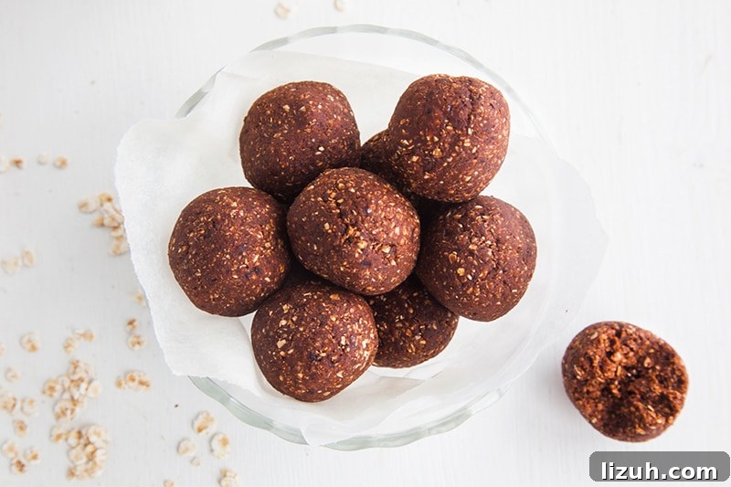 Raw Chocolate Brownie Bites (Low fat & nut-free!)