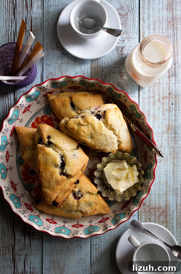 Blueberry Scones via Bakers Royale
