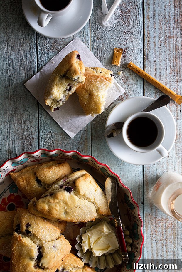 Blueberry Scones from Bakers Royale