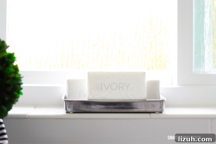 Best Body Wash - Ivory bar soap and Ivory body are a pure and clean option for the family. Great soap for sensitive skin. Smells beautiful!