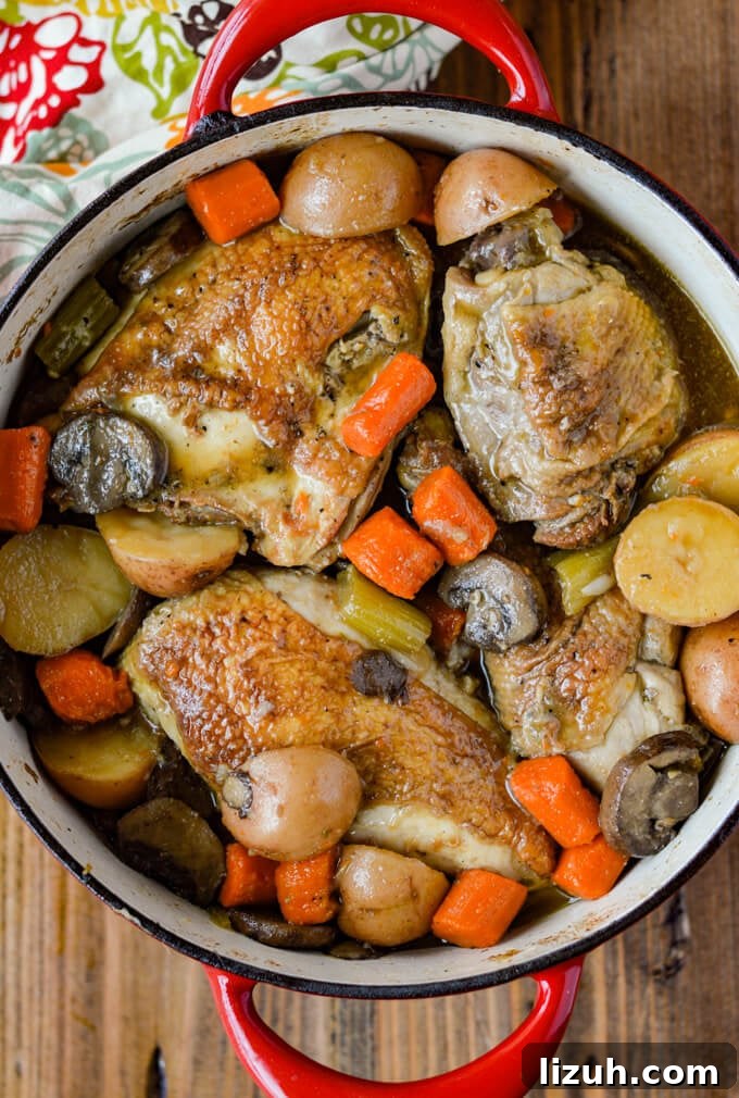 Chicken in a white wine sauce with onions, potatoes, mushrooms, celery and carrots in a red dutch oven.