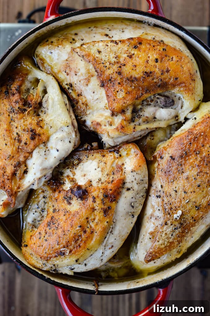 A dutch oven with browned chicken breasts sitting on top a wine and broth liquid.