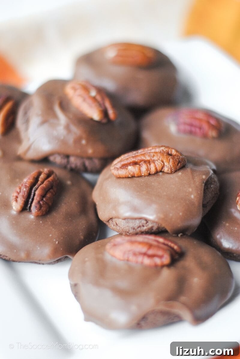 Texas Sheet Cake Cookies Recipe — Decadent Chocolate Cookie Bars 3 Texas sheet cake cookies with fudge icing and pecan on top.