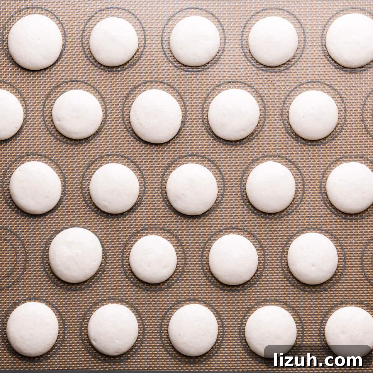 Irresistible Salted Caramel Macarons Recipe for Perfect Results 8 macaron shells piped on the baking silicone mat.