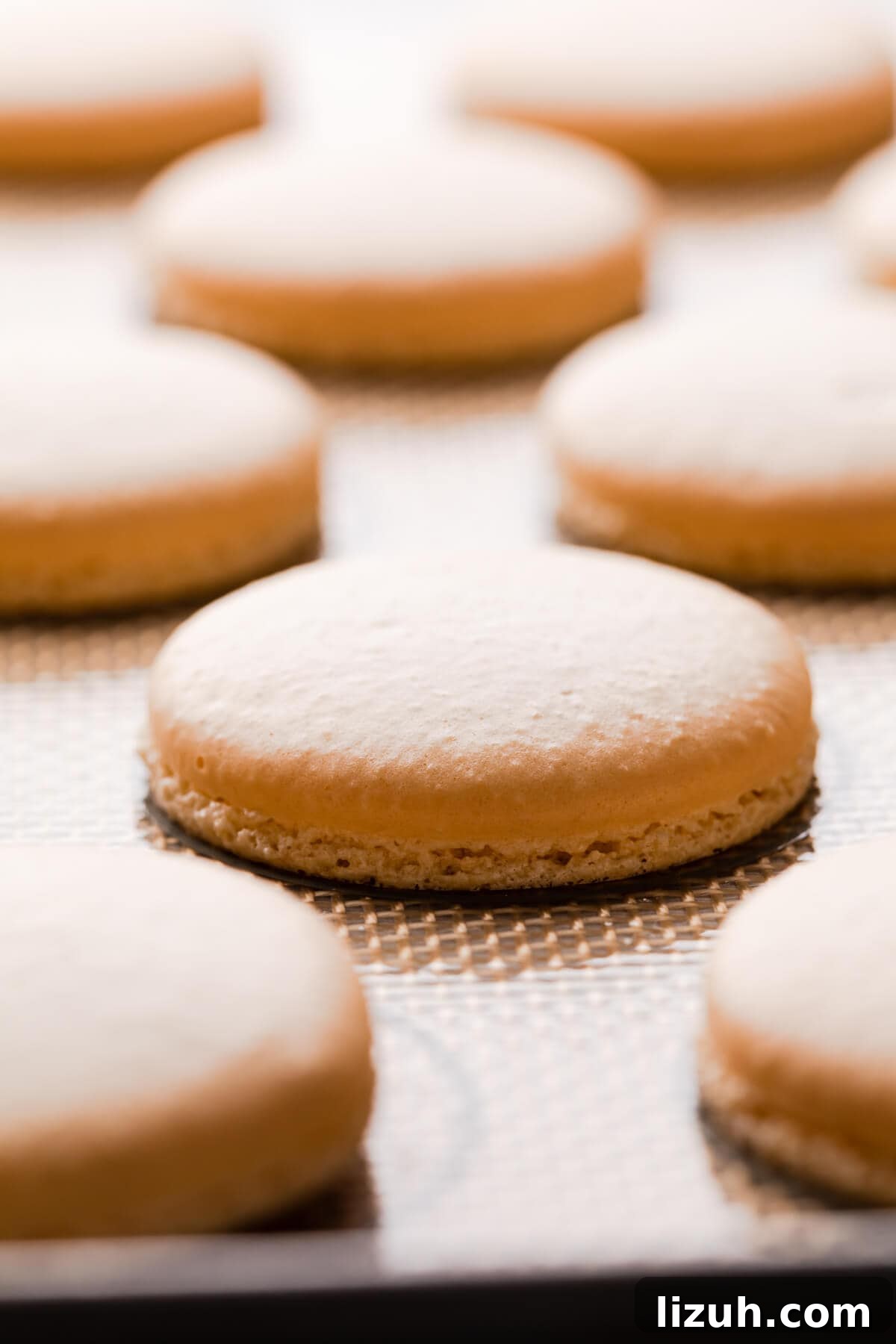 Irresistible Salted Caramel Macarons Recipe for Perfect Results 9 baked macaron shell on a silicone mat.