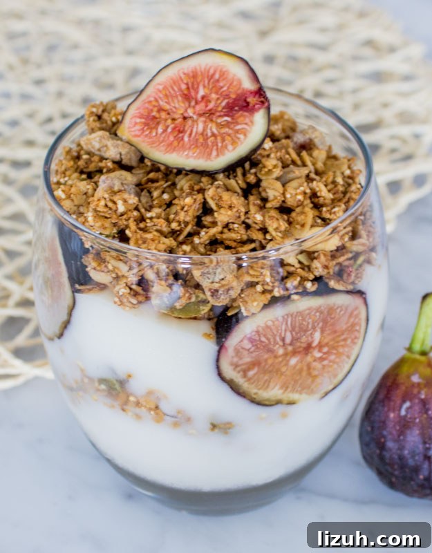 Fig Parfait Recipe: Layered Fresh Fig Yogurt Dessert 3 Fig Granola Parfait